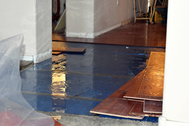 Professional Basement Flood Cleanup technician working in Lohman, MO